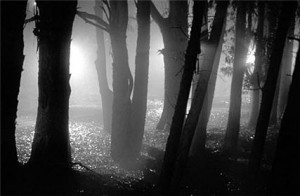 darkness