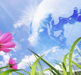 earth_flower