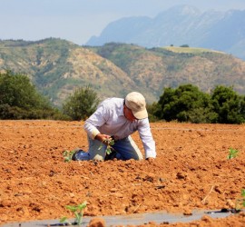 Ο όσιος Πορφύριος ήθελε ανθρώπους εργατικούς και δημιουργικούς